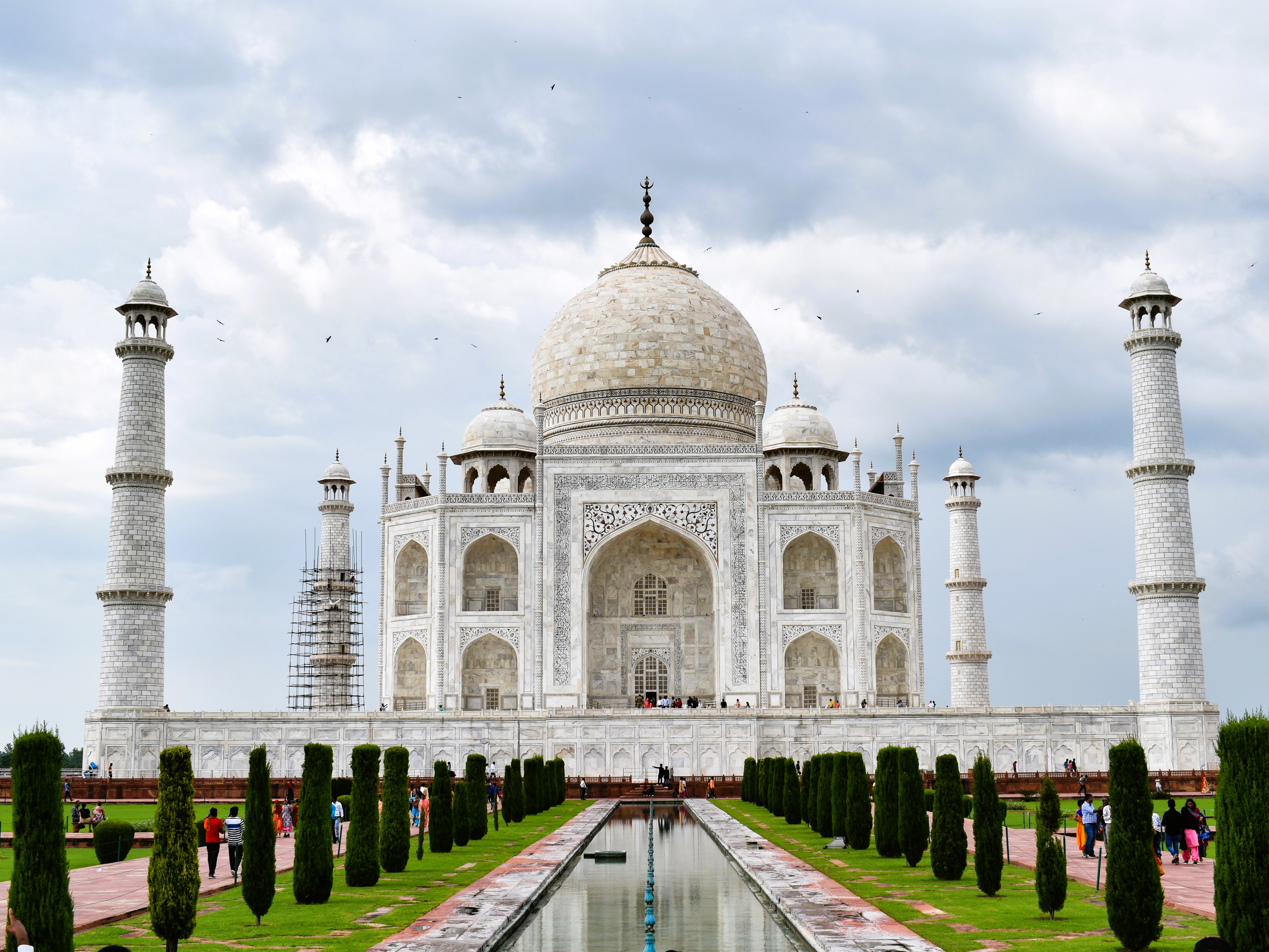 Domestic Tours