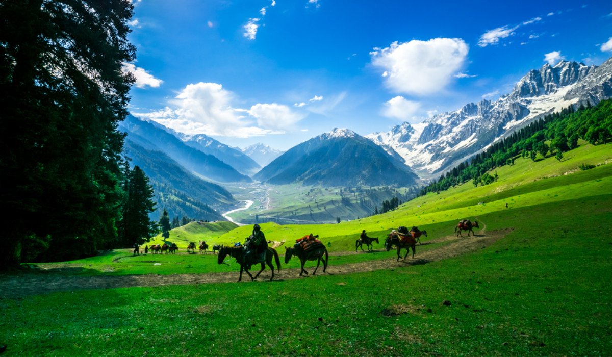 Scenic Kashmir
